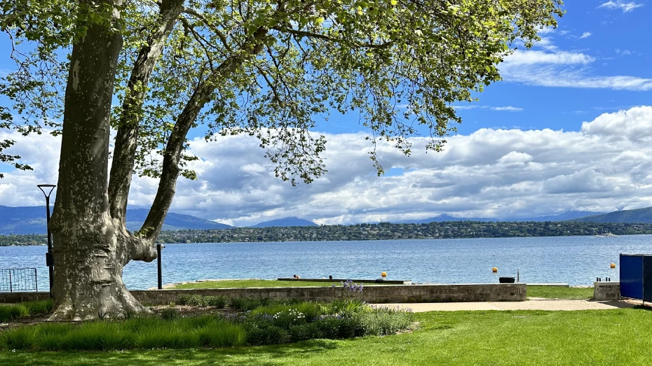 Port-Gitana - Bellevue